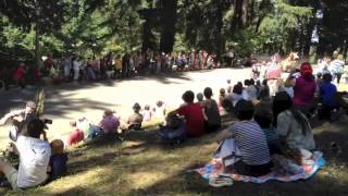 Portland Adult Soapbox Derby 2013