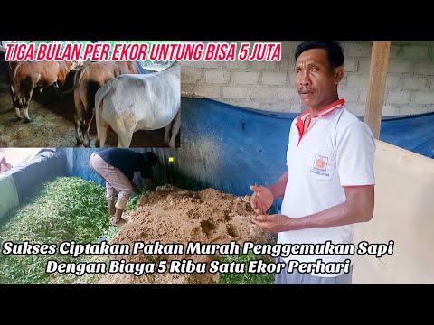 Video: Adakah tulang yang patah sebelum ini sakit?