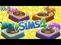 Rainbow Cuteness - The Sims 4: Raising YouTubers as PETS - Ep 2 (Cats & Dogs Expansion)