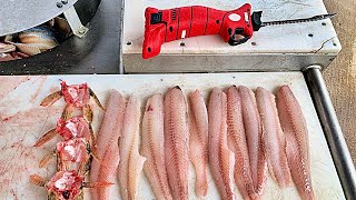 The BEST Way to Filet a Walleye & Sauger (Bubba Blade Lithium Ion Review)