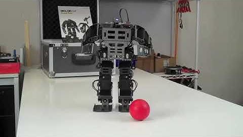 Robot giáo dục STEM TPA ROBOTKIT GP