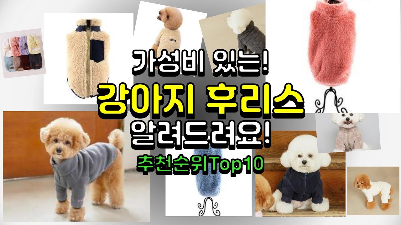 강아지 후리스 판매랭킹 Top10 || 가격 후기 비교