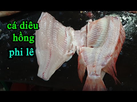 Video: Cách Cắt Lát Cá Diêu hồng