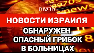 Новости Израиля. ОБНАРУЖЕН ОПАСНЫЙ ГРИБОК В БОЛЬНИЦАХ. Выпуск 254. Радио Наария חדשות