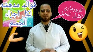 الروزماري ( اكليل الجبل  ) وفوائدة المدهشه