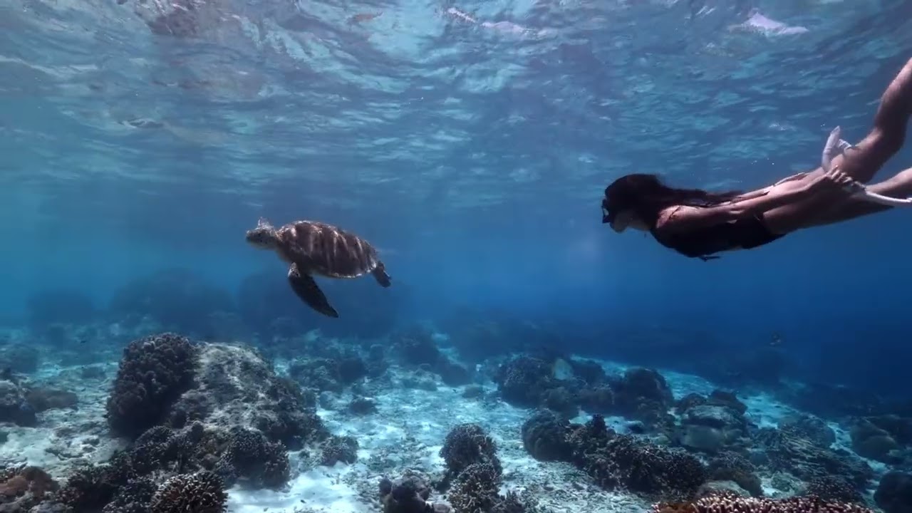 Top Neuroscientist Reveals Best Memory Techniques