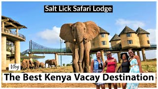 Experience Salt Lick Safari Lodge & Taita Hills Resort |The Best Kenya Vacation Destination