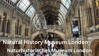 London Natural History Museum - Ein Besuch im Museum.