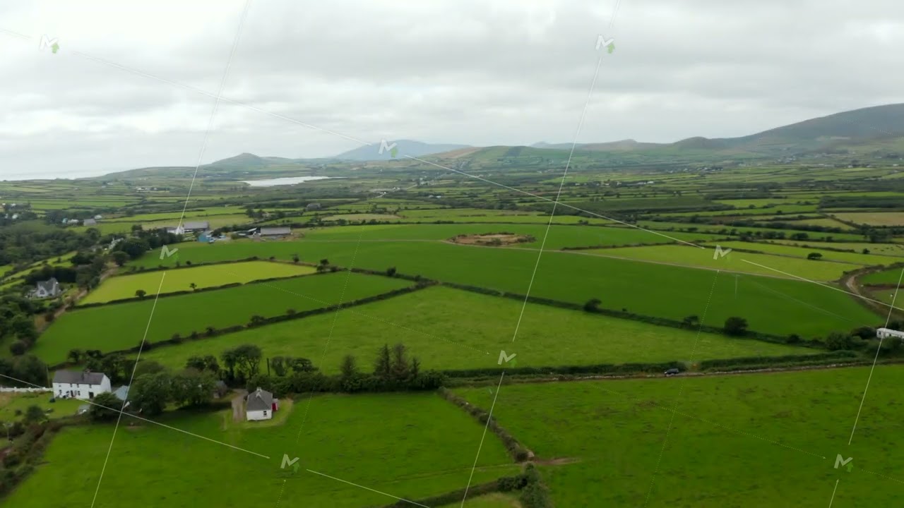 Aerial panoramic shot of green fields and meadows in countryside. Agriculture and farming in flat