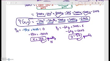 Math 121: Maximizing Profit with partial derivatives