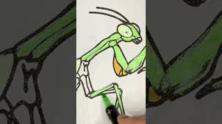 praying mantis insect 🎨🖌️ #creativekids #coloring #mixingcolors #satisfying #shorts