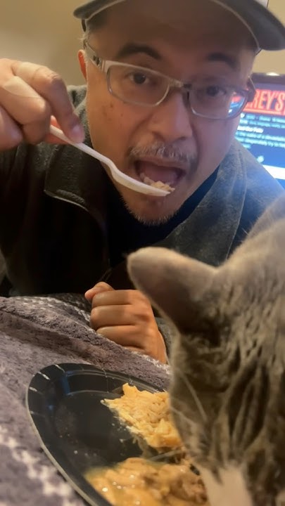 finding-the-cheapest-cat-food-and-does-it-taste-good-cat-cats