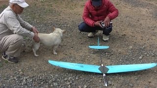 Dlg プチミーティング