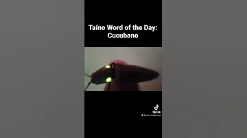 Taíno Word Of The Day Cucubano Taino Indigenous Languagelearning 