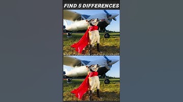 Find the difference | Picture Puzzle  | #challenge #puzzle #shorts #shortvideo #viral #shortsfeed