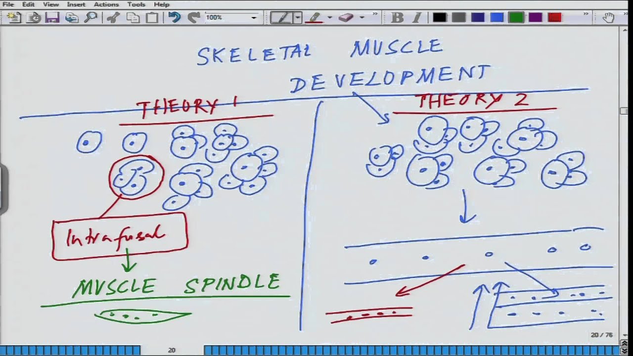 Mod-01 Lec-13 Animal Physiology