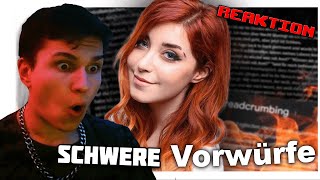 Reaktion auf AlphaKevin Schwere Vorwürfe gegen AnniTheDuck