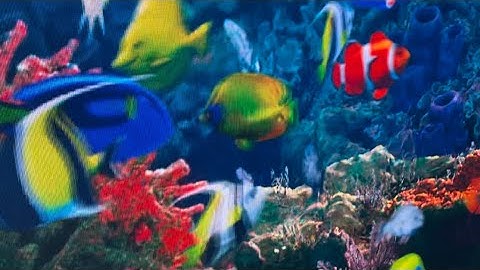 Artificial intelligence fishtail