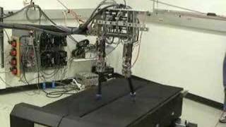 Biped Robot ERNIE walking with springs