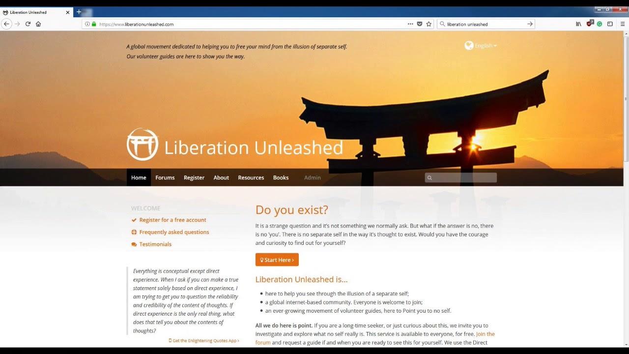 Liberation Unleashed - Criticism and analysis of the group, it's guidance and it's website