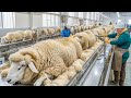 Intelligent Sheep Farming Technology Lamb Slaughter Processing Line Wool Manufacturing Factory 