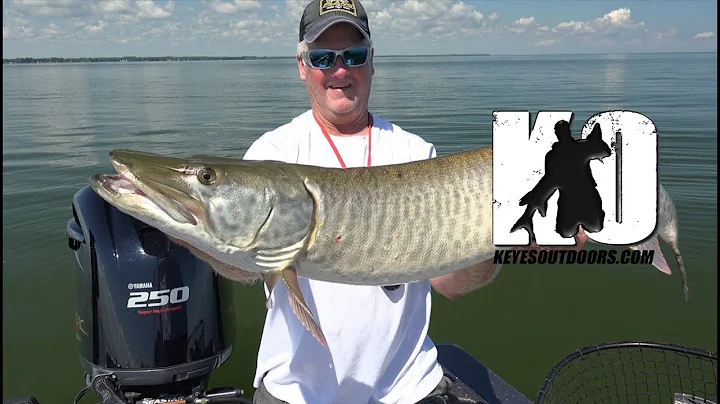 Mid-Summer Muskie Fishing in Green Bay, Wisconsin