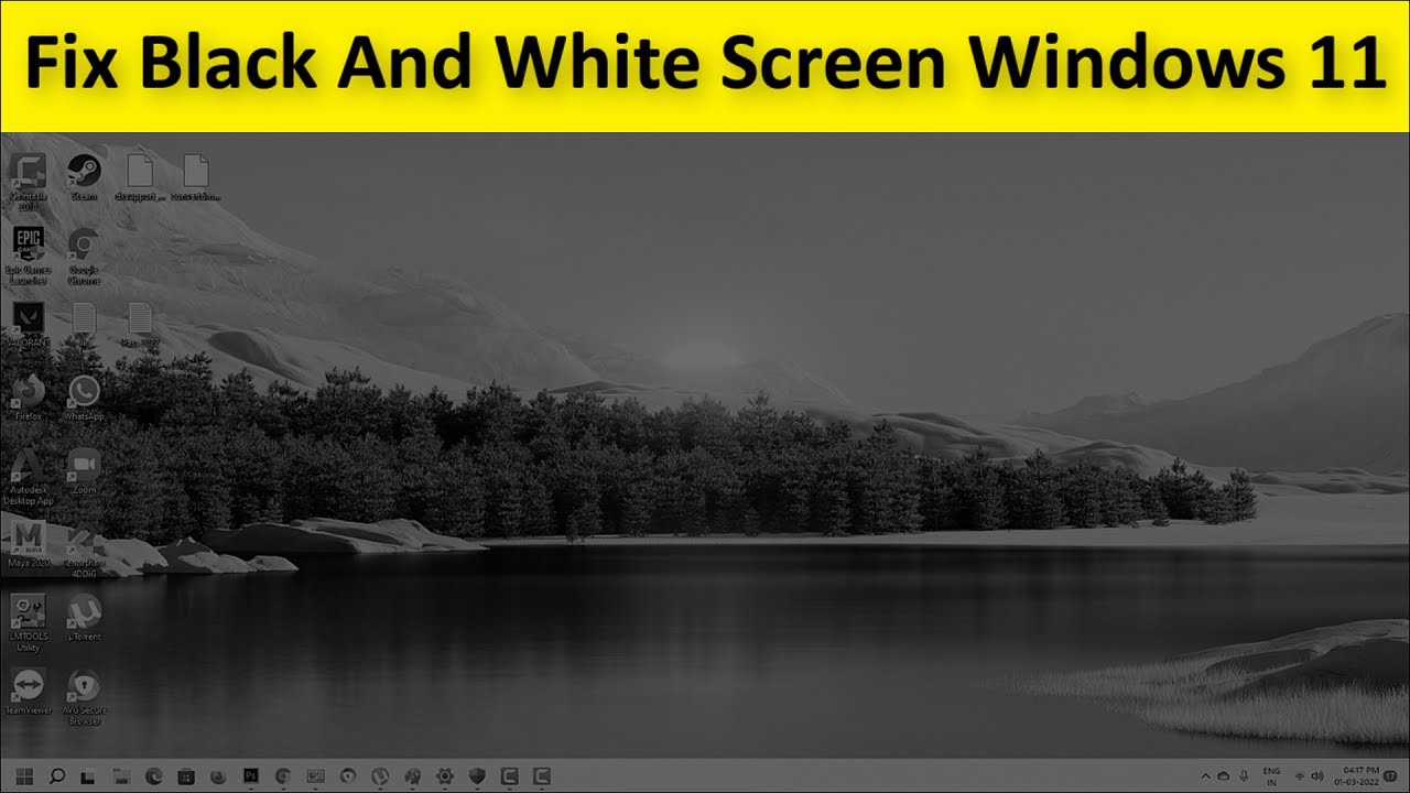Windows 11 Black And White Screen Issue Turn OFF Windows 11 GrayScale Grey Screen Issue