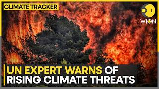 Extreme Weather Becoming The New Normal | WION Climate Tracker