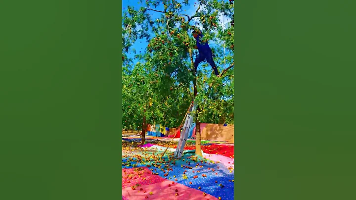 Fruit Harvesting by Shaking - Manual and Mechanical Methods #farmingmachines