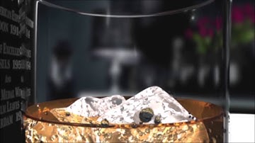 Ng Zi Hui_3D Modeling Demo Reel 2015