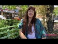What is “The Ego”? What does Ego Mean? - I Ask a Psychic Spiritual Worker
