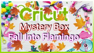 Fall Into Flamingo Mystery Box