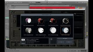 Celebrity XLN AUDIO ADDICTIVE TRIGGER Tutorial Wealth