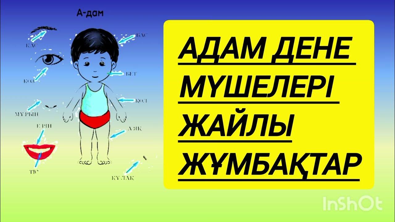 Порно қараңыз, ақша сорыңыз