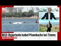 Walrettung vor Poel: „Streit innerhalb des Teams jetzt komplett eskaliert“ | BILD LIVE
