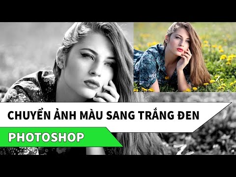 Video: Cách Tạo ảnh Màu Từ đen Trắng