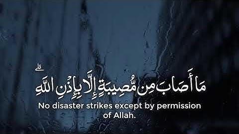ما أصاب من مصيبة الا بإذن الله القارئ ماهر المعيقلي