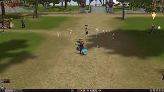 Metin2.cz Magic Damage Record [PERSONAL] - LOWLEVEL
