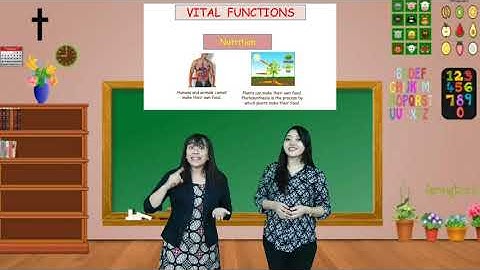 SCIENCE GRADE 4 - UNIT 1 . HUMAN AND ANIMALS