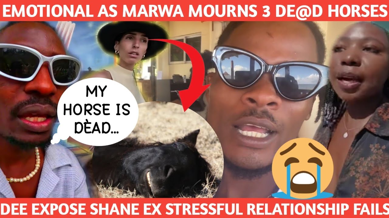 3 HORSES DE@D MARWA MOURNS DEE MWANGO COMES FOR JAMAICAN SHANE ROCIO CABRERA SILENT UNCLE OGUTU RUN