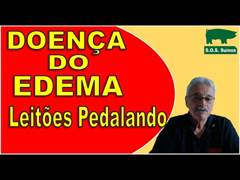 Vídeo: Descrição do trabalho de um eletricista: deveres funcionais, direitos, responsabilidade