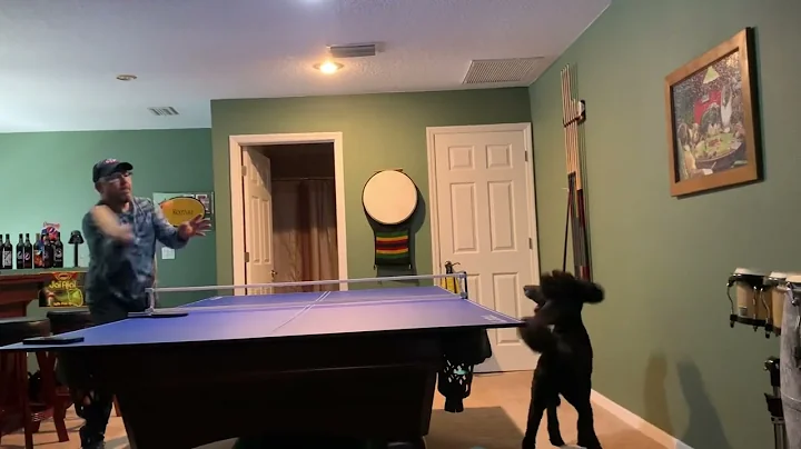 Dog playing ping pong