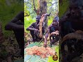 WILD FOOD IN THE NATURE#hadzabetribe #africa #bushman #simplelife