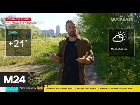 "Утро": пониженное атмосферное давление ожидается в Москве 28 мая - Москва 24