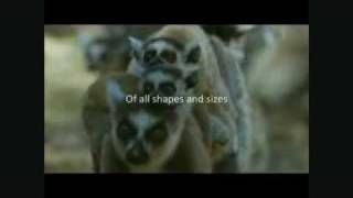 What is Geography.flv