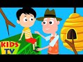 Isto velho homem | Musica para bebes | Animação | Kids Tv em Português | Canção infantil