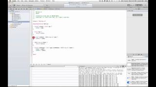 Celebrity iOS Programming Week 2 (Part 4) Wealth