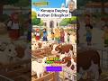 di daerah kalian dapat daging kurban berapa kilo? #daging #hewankurban #animasi #anakcerdas #shorts