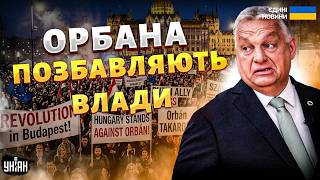Доленосні ВИБОРИ в Угорщині! Орбану ДАЮТЬ СТУСАНА: Трамп не допоміг. ВКЛЮЧЕННЯ з Будапешта