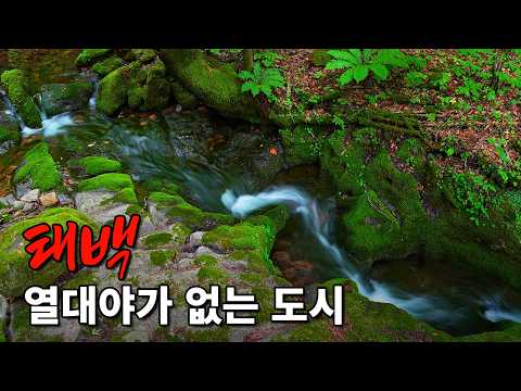 [4K] 용의 전설을 찾아 떠나는 태백 여행 | 검룡소·황지연못·구문소·용연동굴